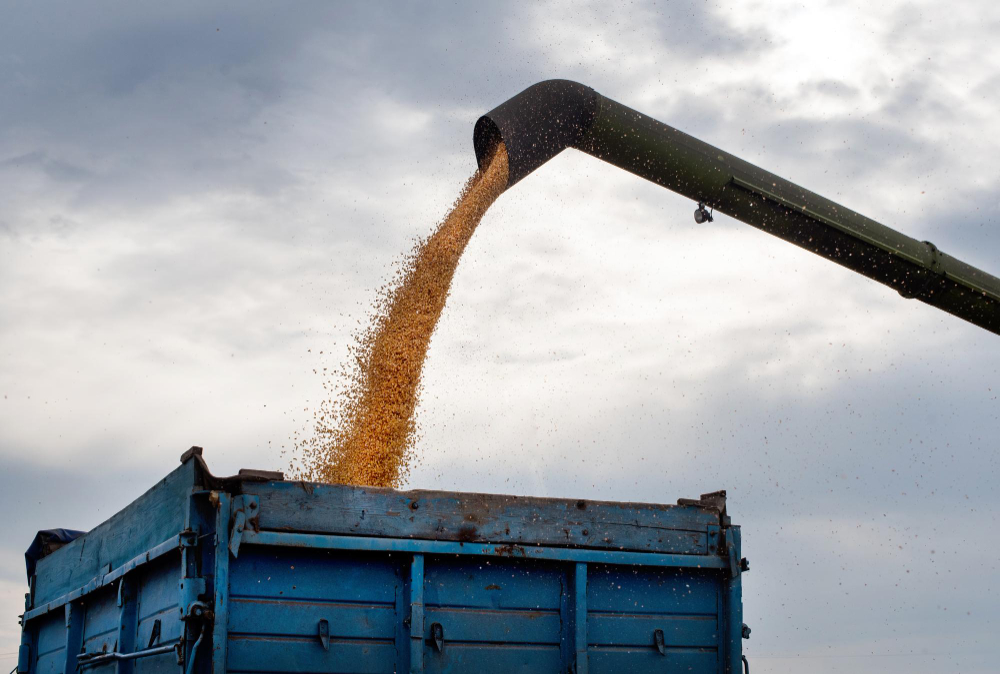 Acompañamiento técnico de Solsano a agricultores socios de cooperativa